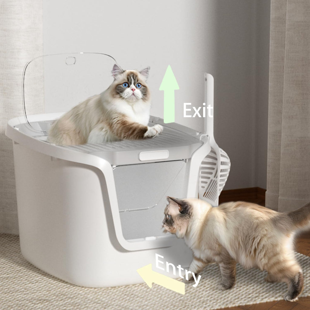 Molded Cat Litter Box with Scoop U57089