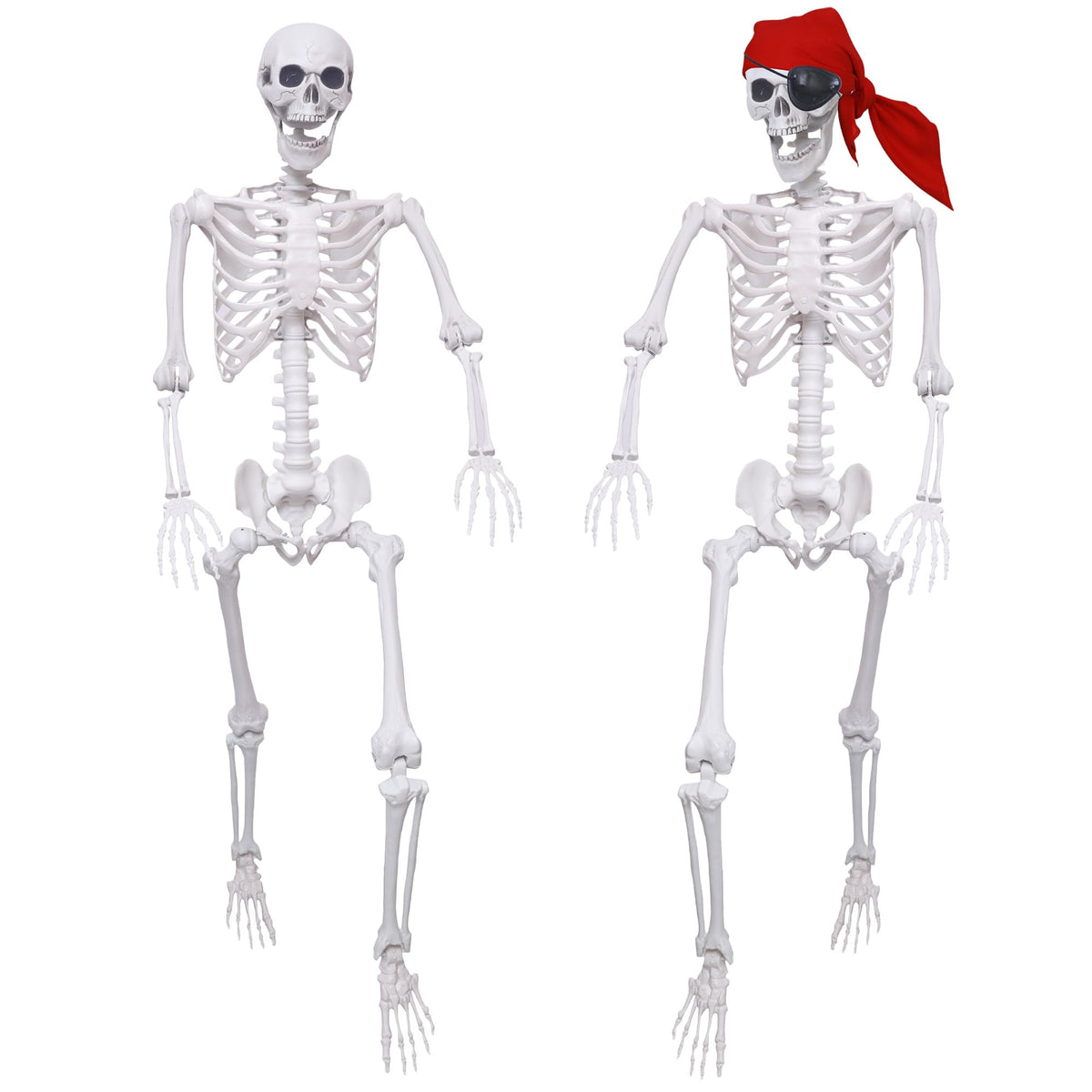 5.4Ft Posable Life Size Skeletons with Movable Joints U8837