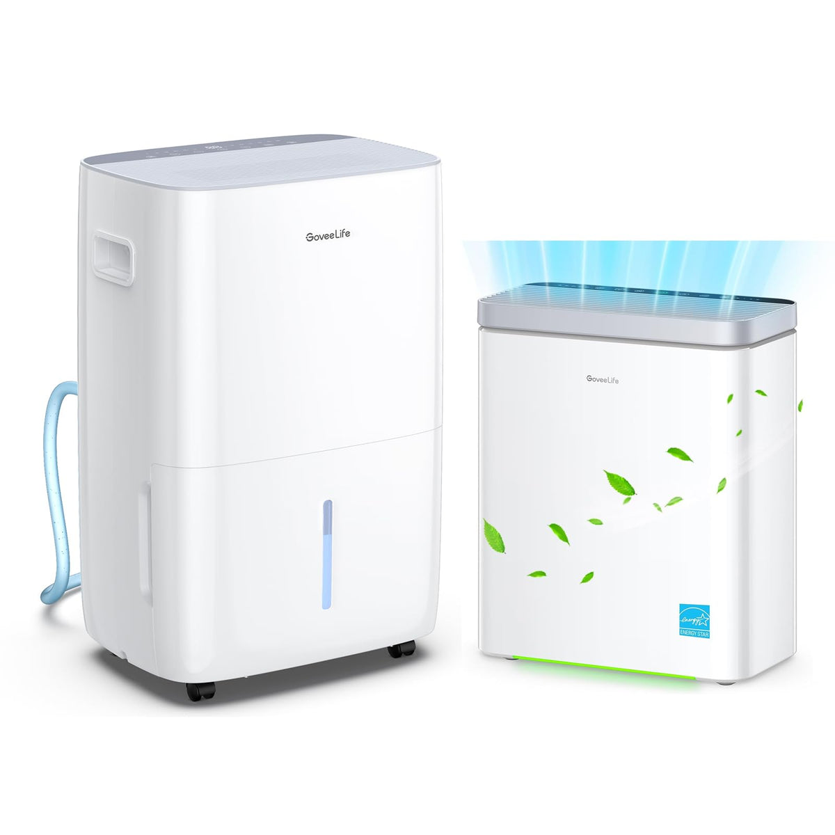 Dehumidifier with Air Purifier J19881