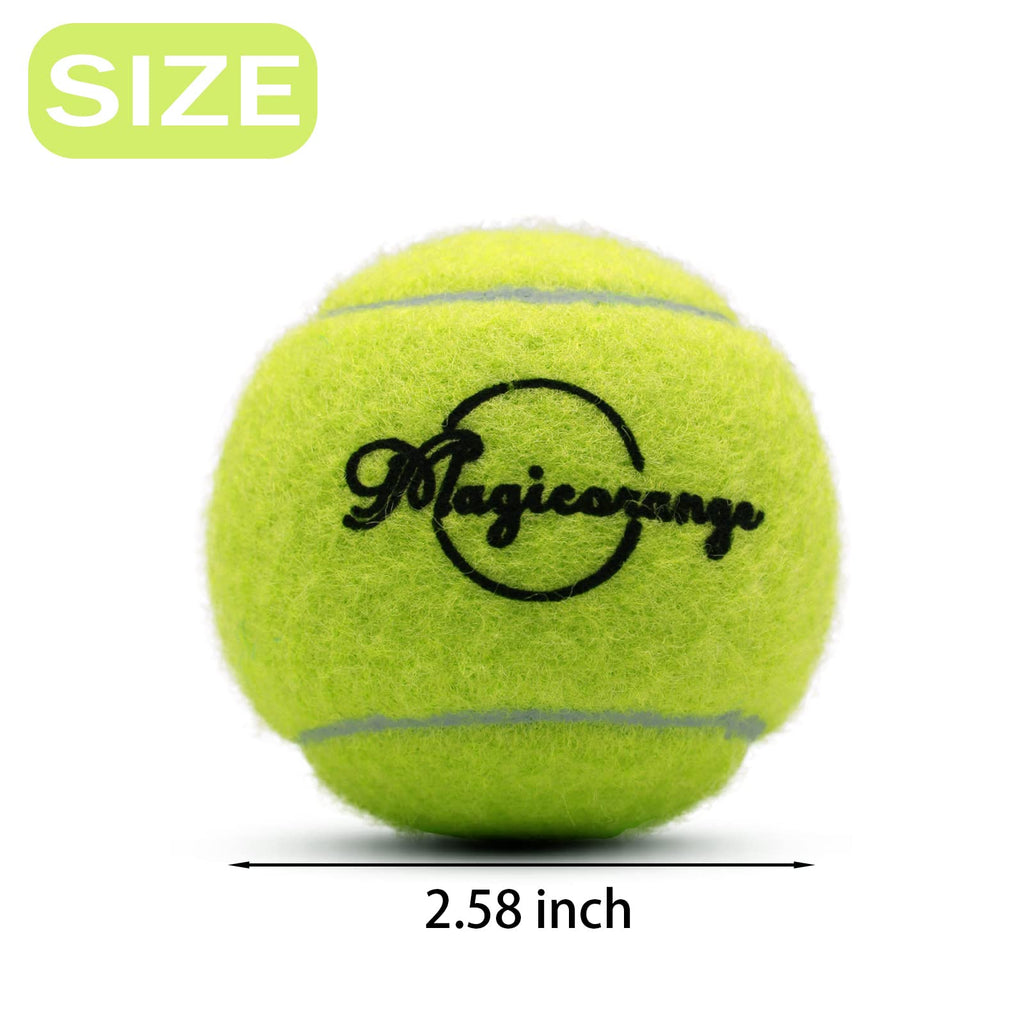 Tennis Ball 30/60 Bulk Pack R8649