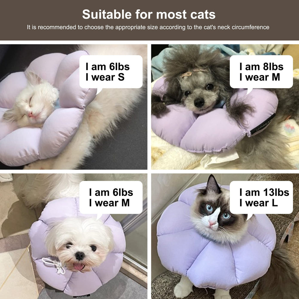 Waterproof Cat Recovery Cone Collar B9952