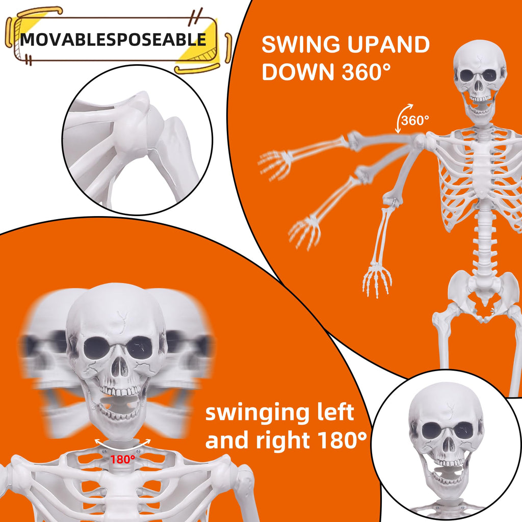 5.4Ft Posable Life Size Skeletons with Movable Joints U8837