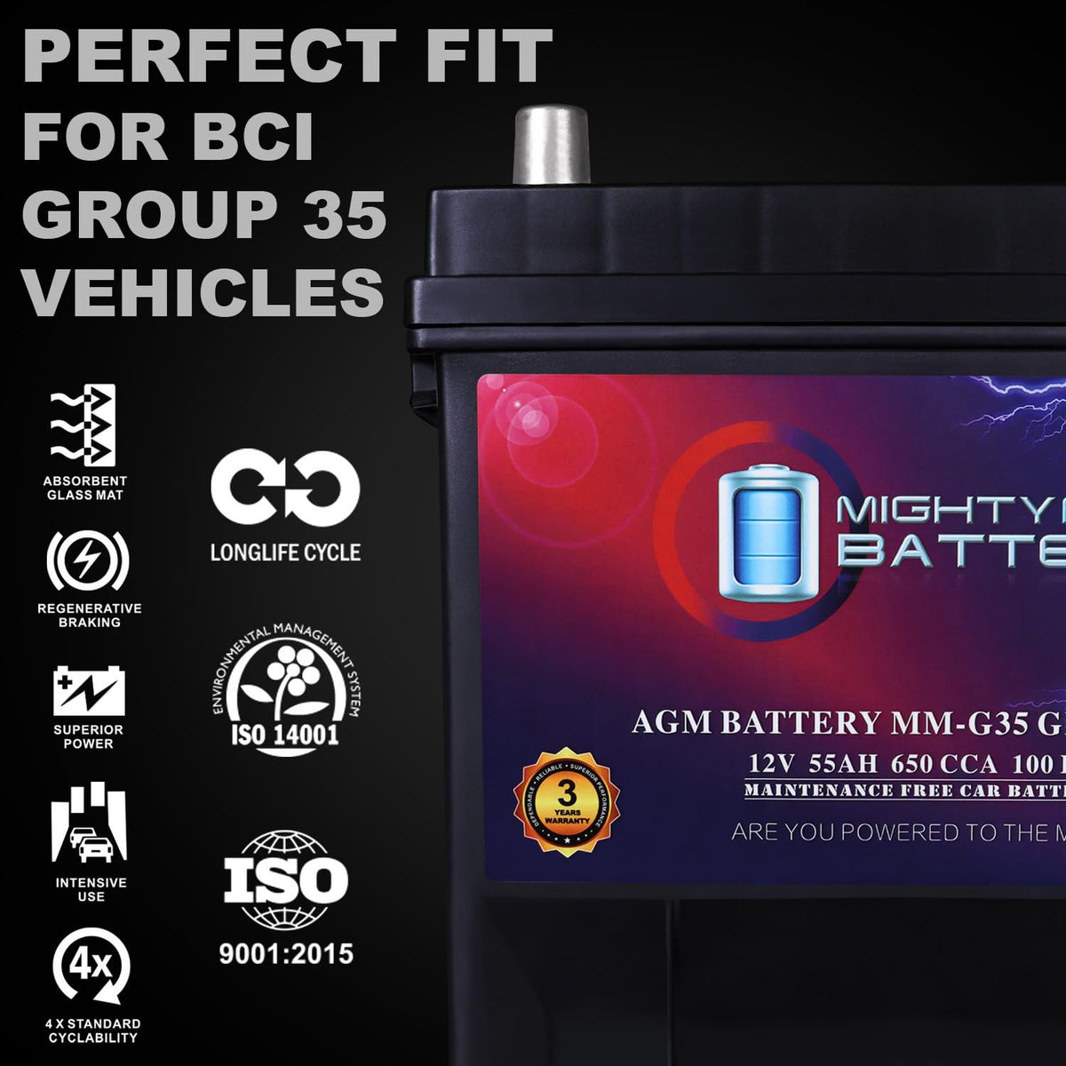12V 55Ah AGM Replacement Battery F336815