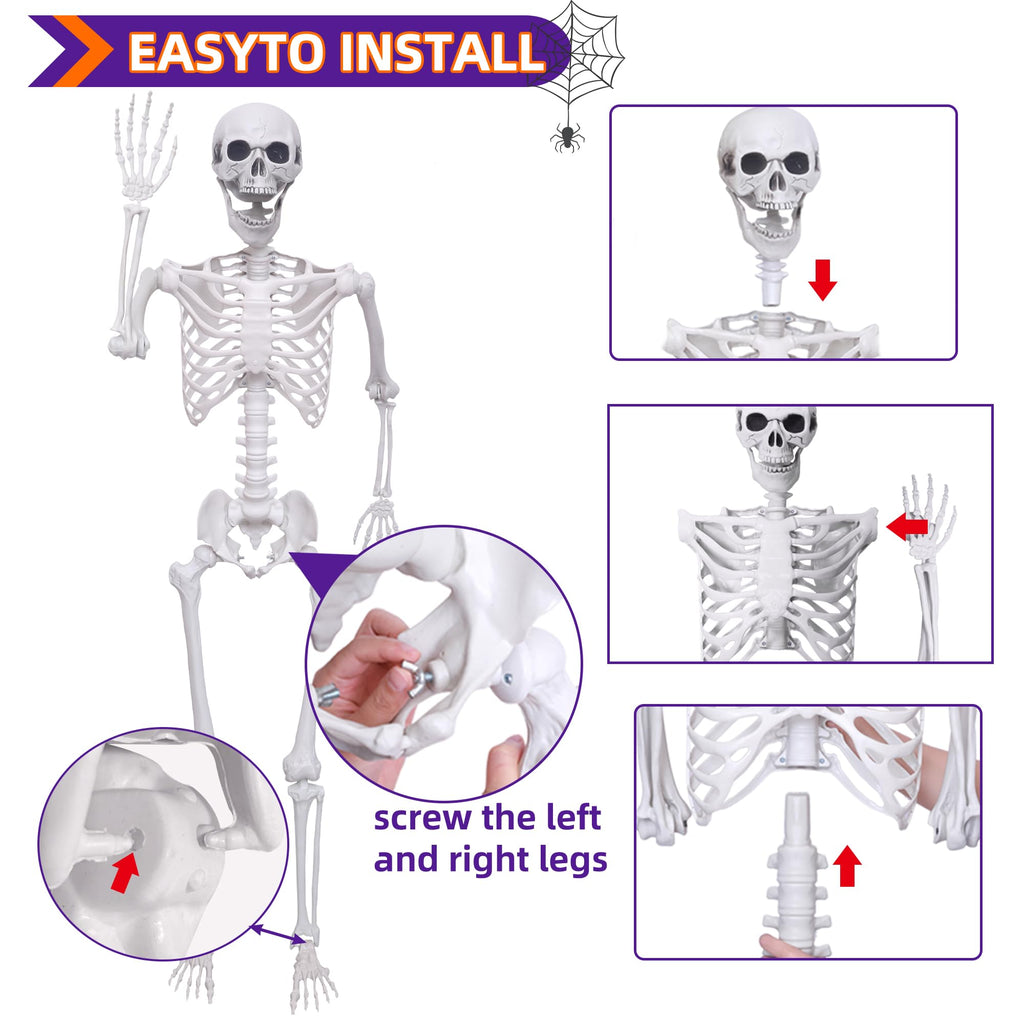 5.4Ft Posable Life Size Skeletons with Movable Joints U8837