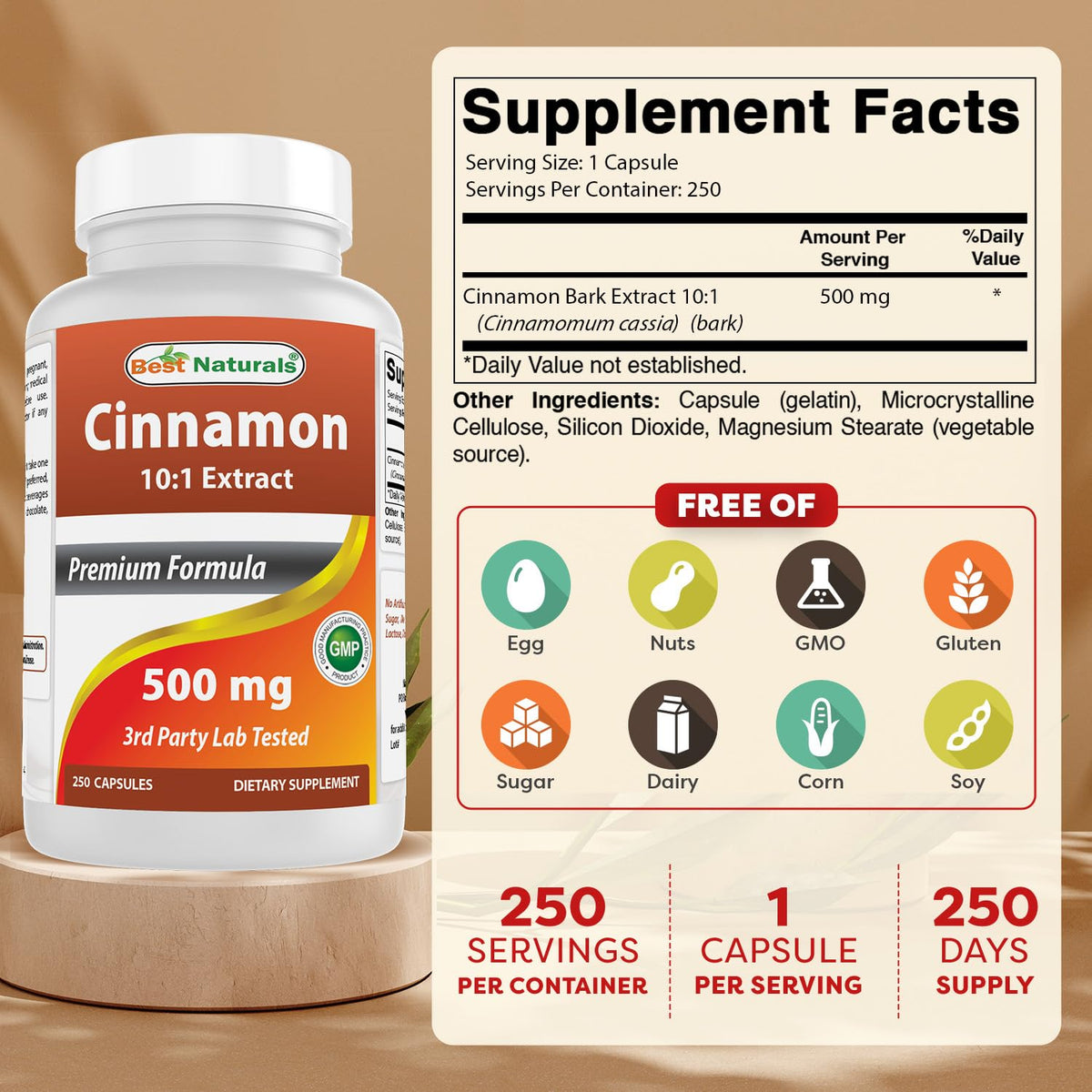Cinnamon 500 mg 250 Capsules V39241