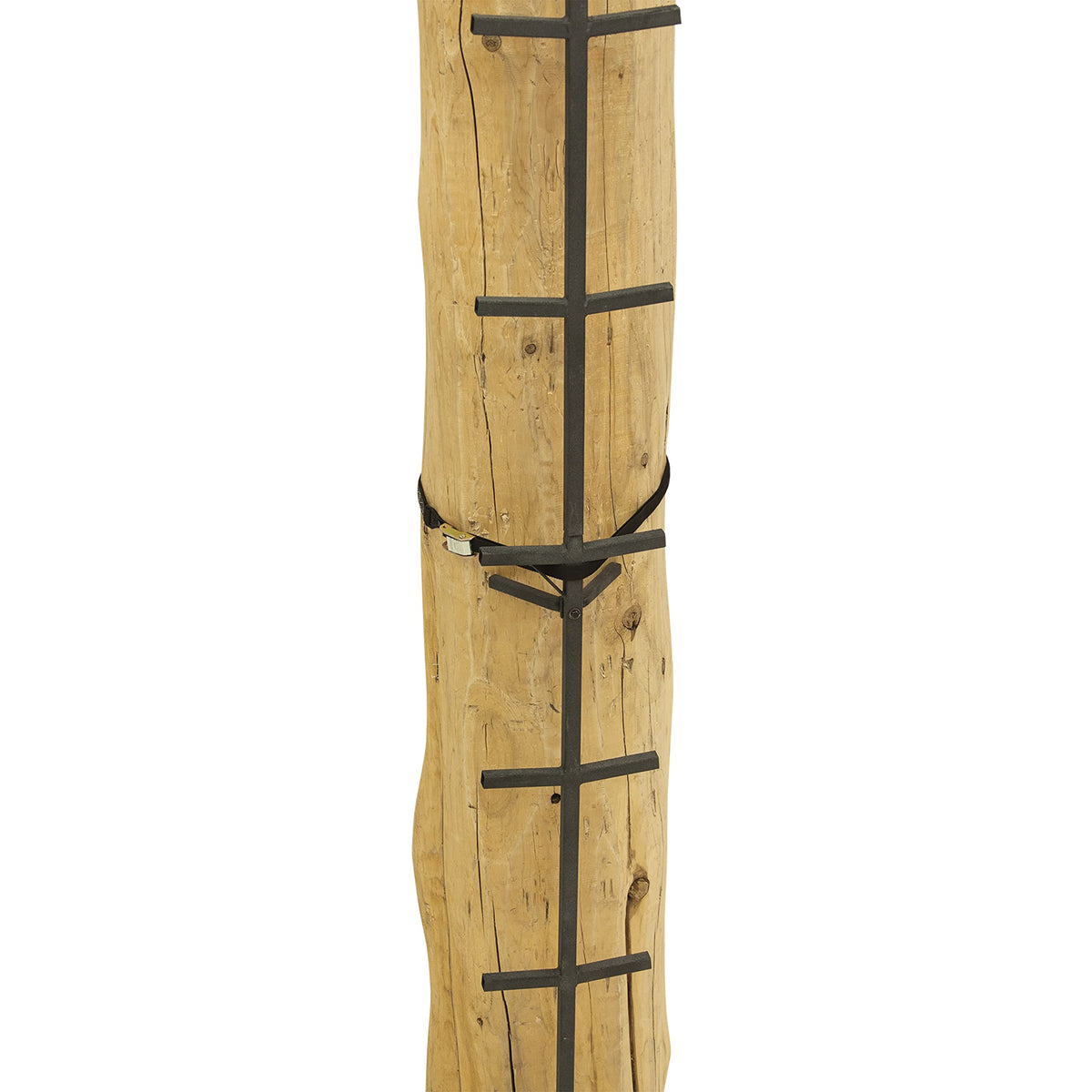 Tree Climbing System with Non-Slip Coating R9271