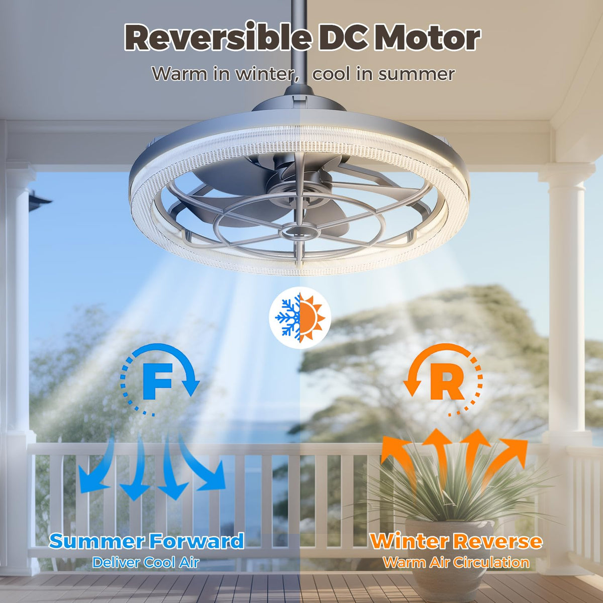 20" Outdoor Ceiling Fan with Light P2367