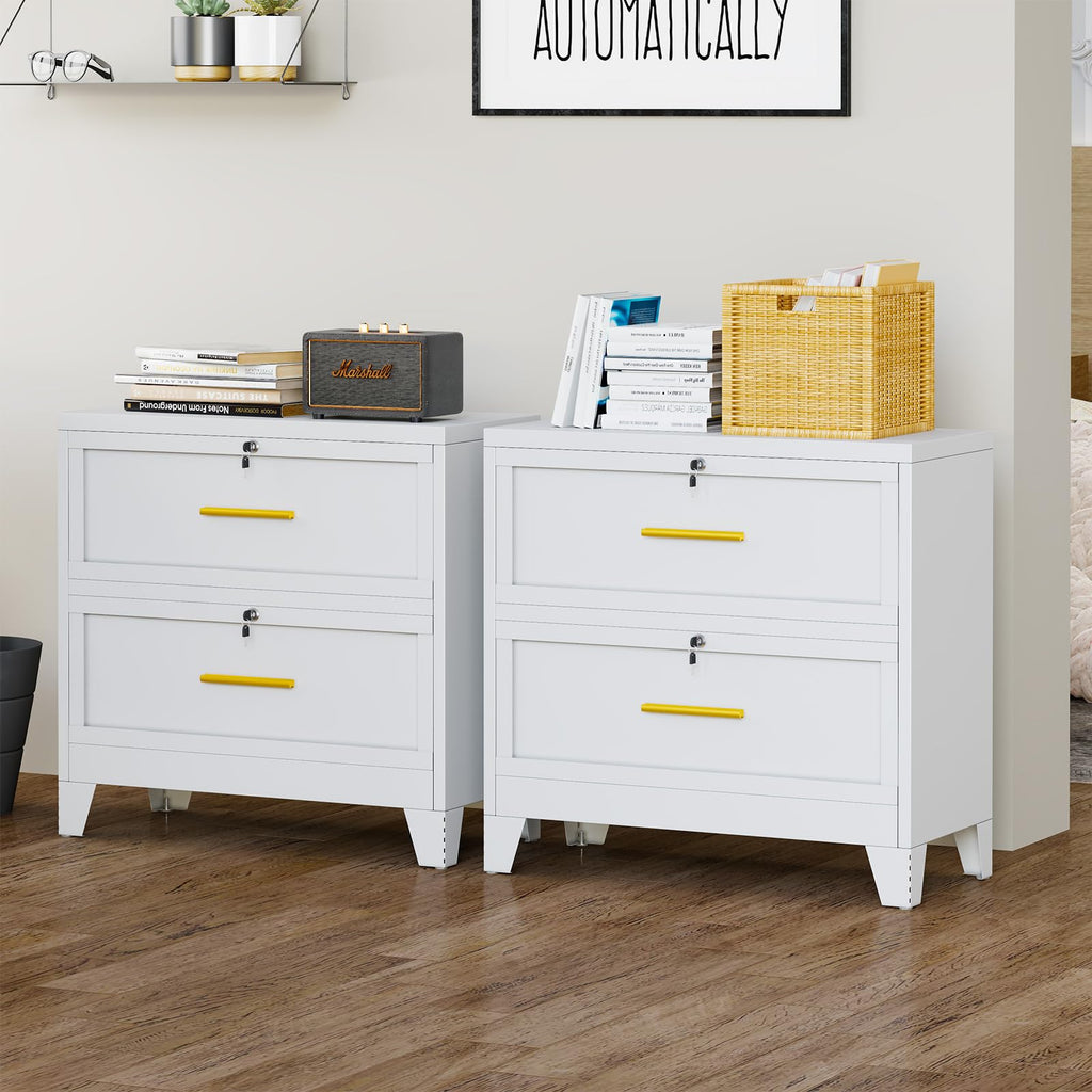 2 Drawer Metal File Cabinet with Lock H118