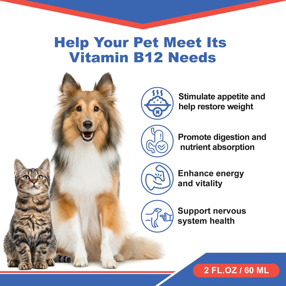 Vitamin B12 Liquid Supplement 60 ml D76631
