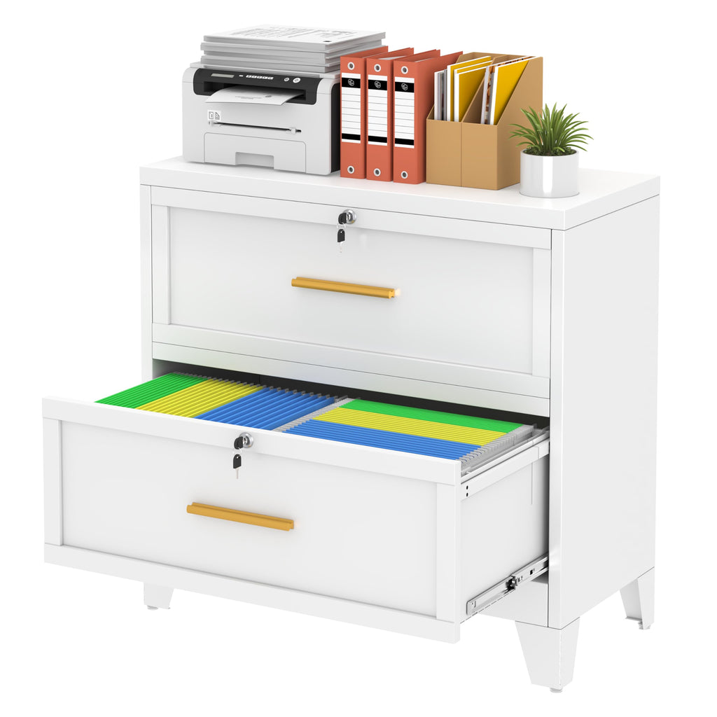 2 Drawer Metal File Cabinet with Lock H118