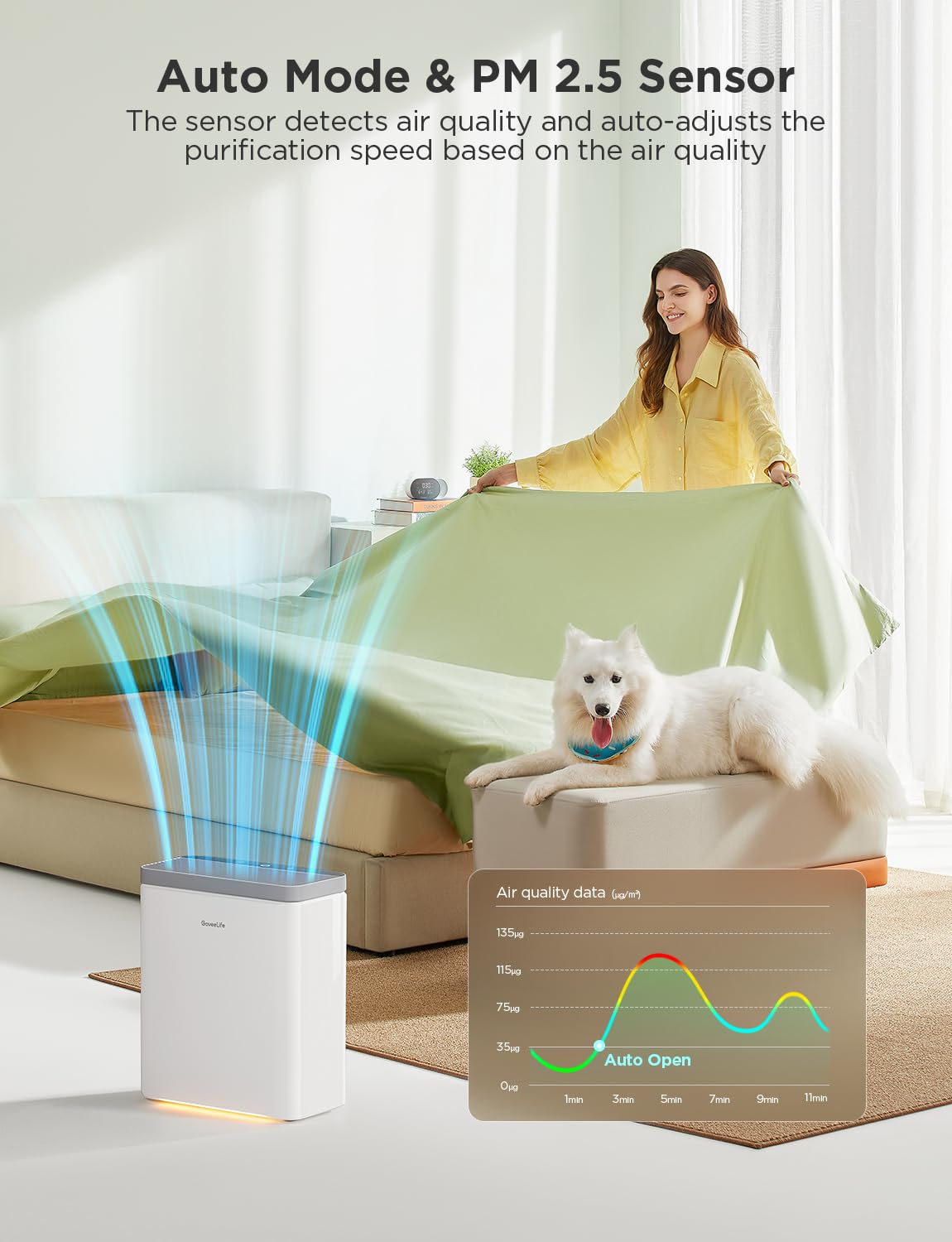 Dehumidifier with Air Purifier J19881