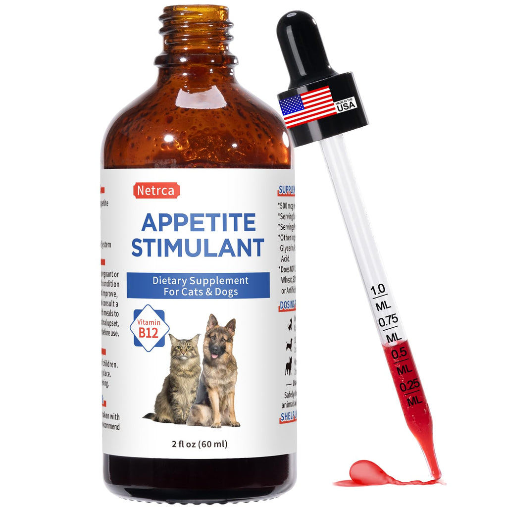 Vitamin B12 Liquid Supplement 60 ml D76631