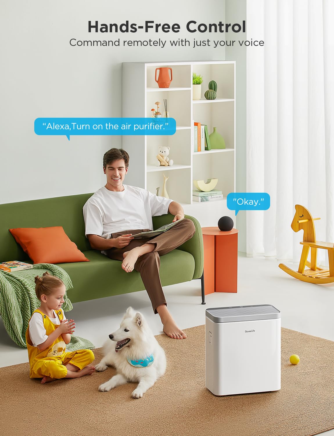 Dehumidifier with Air Purifier J19881