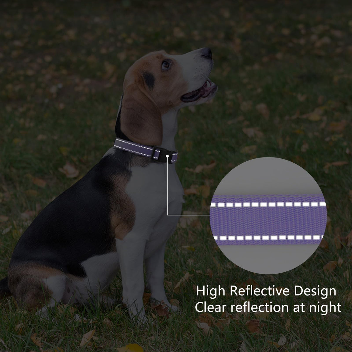Reflective Adjustable Nylon Dog Collar Y854895