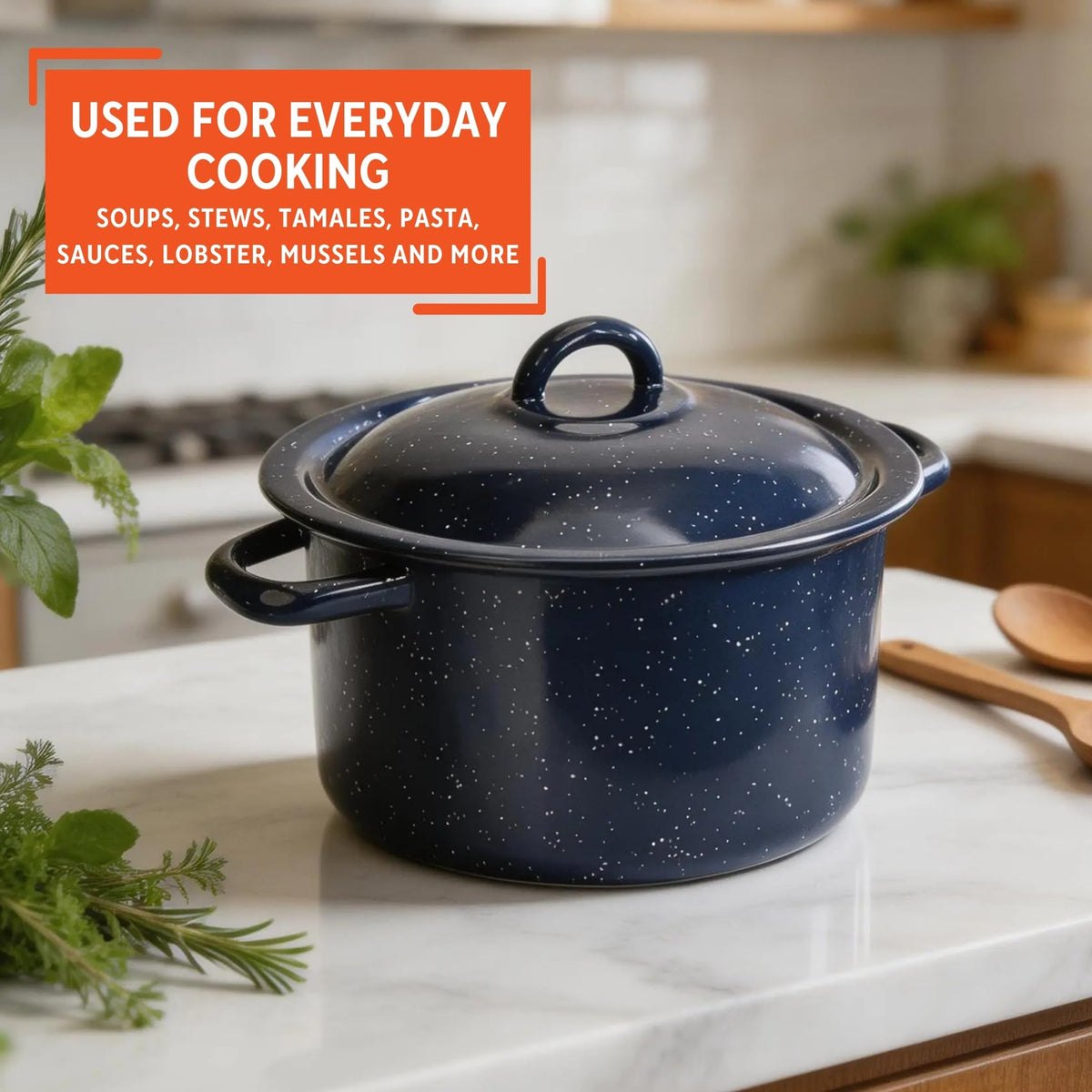 6 Qt Enamel Stock Pot V3087