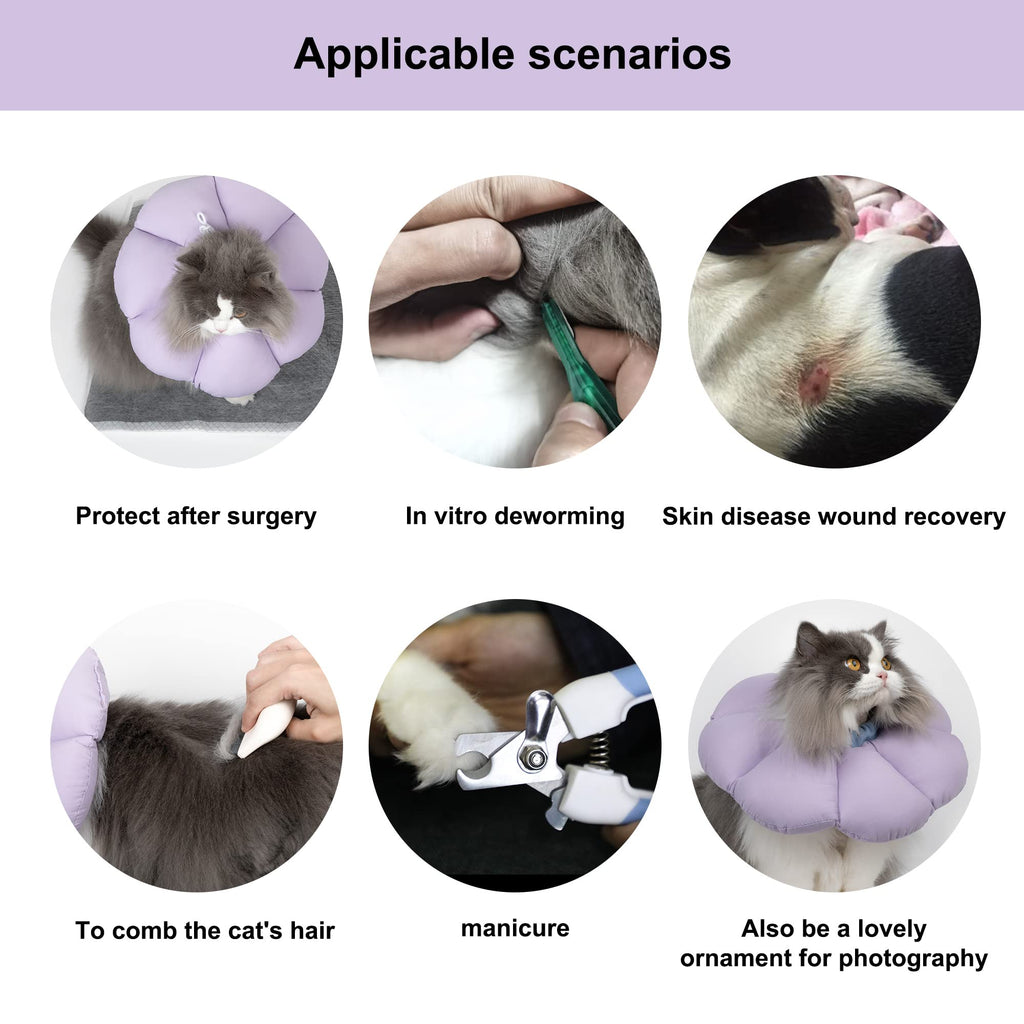 Waterproof Cat Recovery Cone Collar B9952
