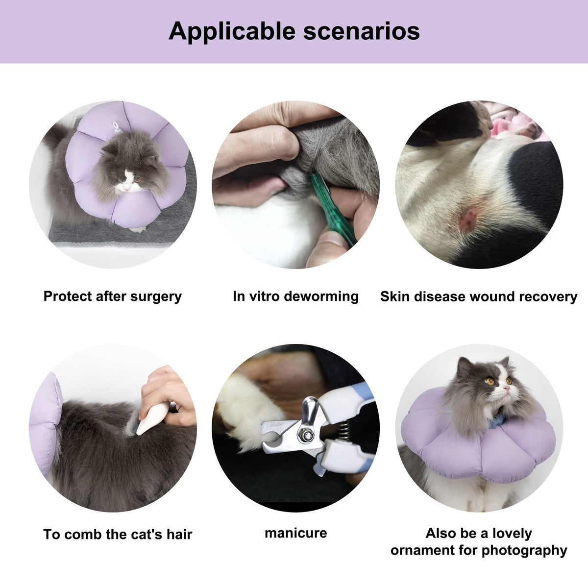 Waterproof Cat Recovery Cone Collar B9952