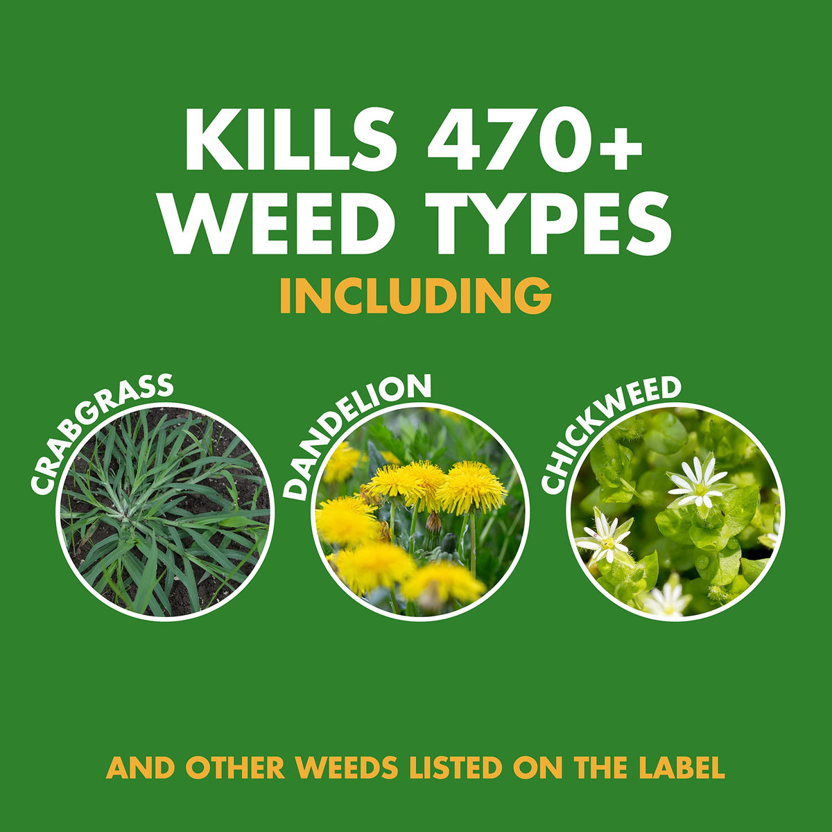 Weed and Crabgrass Killer Concentrate 40 Oz E506216