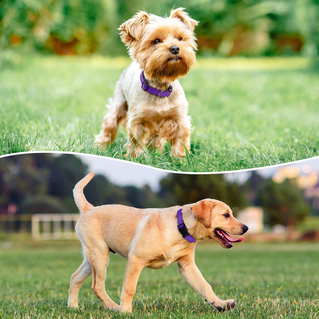 Reflective Adjustable Nylon Dog Collar Y854895