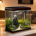 5 Gallon Glass Fish Tank W27788