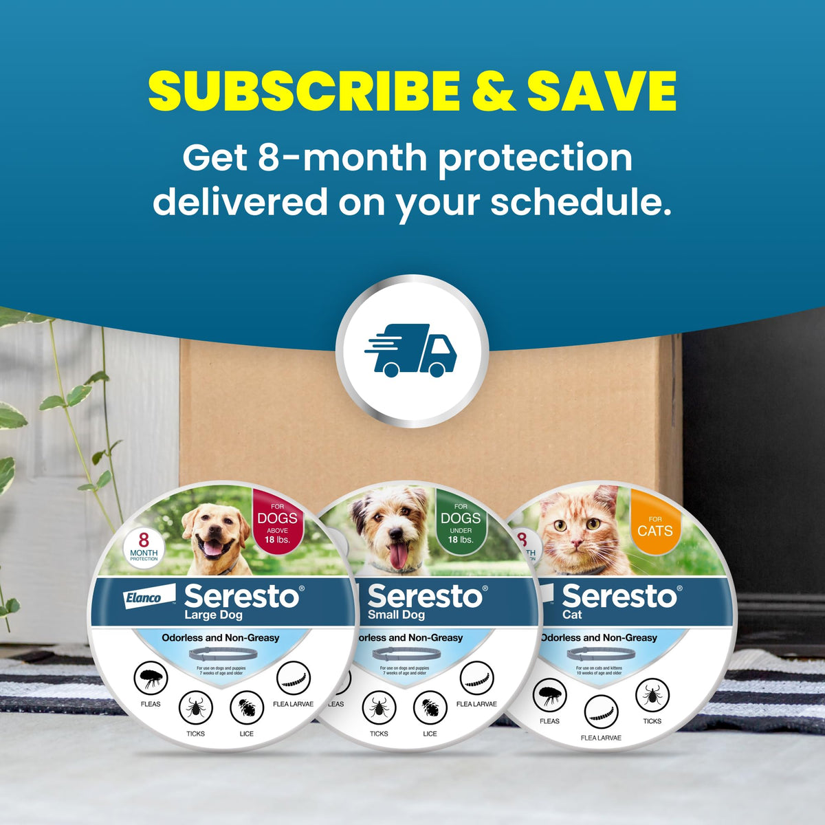 Flea & Tick Treatment & Prevention Collar for Dogs Under 18 lbs Y9090