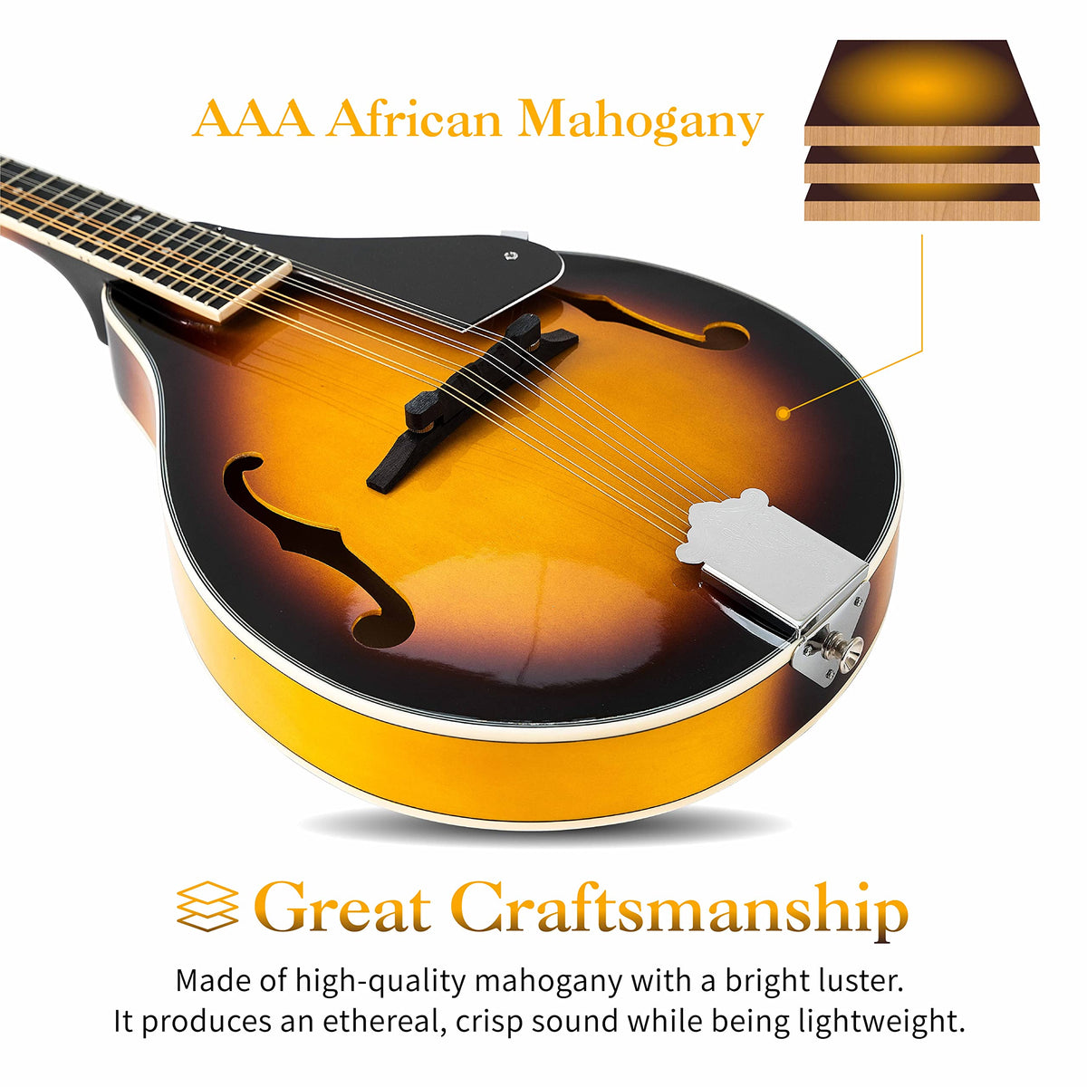 8 String Mahogany Wood Acoustic Mandolin Kit with Gig Bag M28989