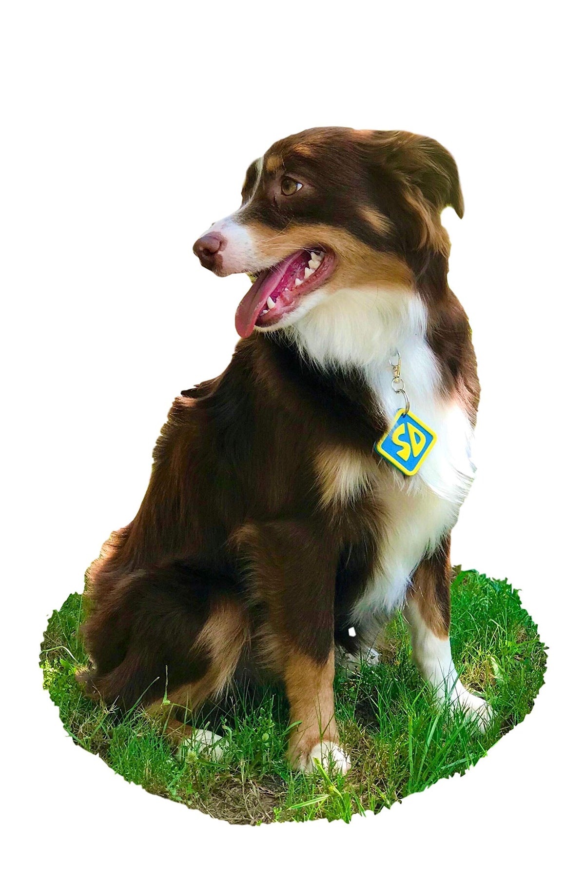 Dog Halloween Costume Collar Tag P4661