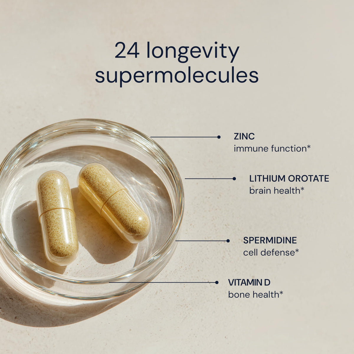 Daily Multivitamin Multimineral Antioxidant Supplement with Calcium Vitamin B1 Vitamin D Zinc Vegan Non GMO 30 Servings C125293