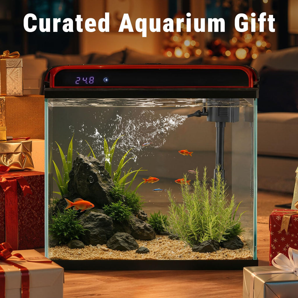 5 Gallon Glass Fish Tank W27788