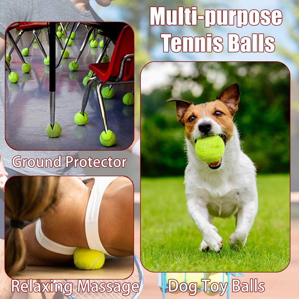 Tennis Ball 30/60 Bulk Pack R8649