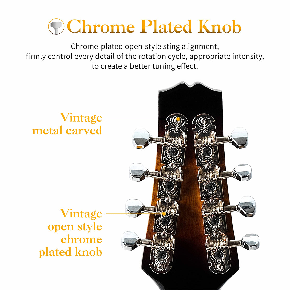 8 String Mahogany Wood Acoustic Mandolin Kit with Gig Bag M28989