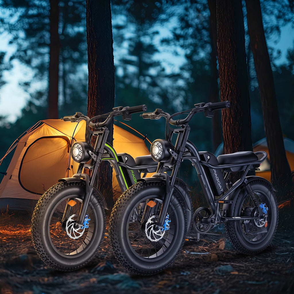 1500W Peak 20" x 4.0" Fat Tire Electric Bike C948784