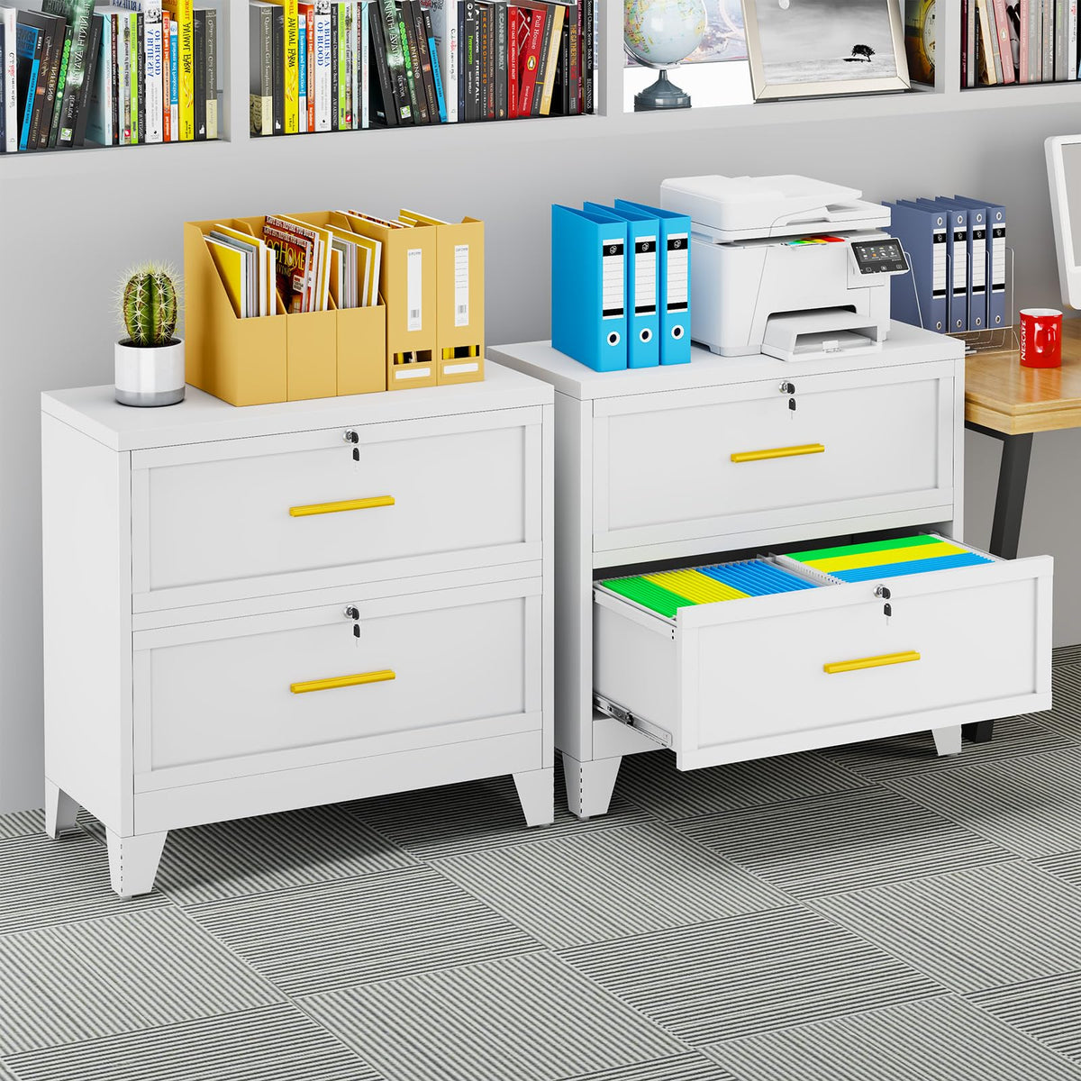 2 Drawer Metal File Cabinet with Lock H118