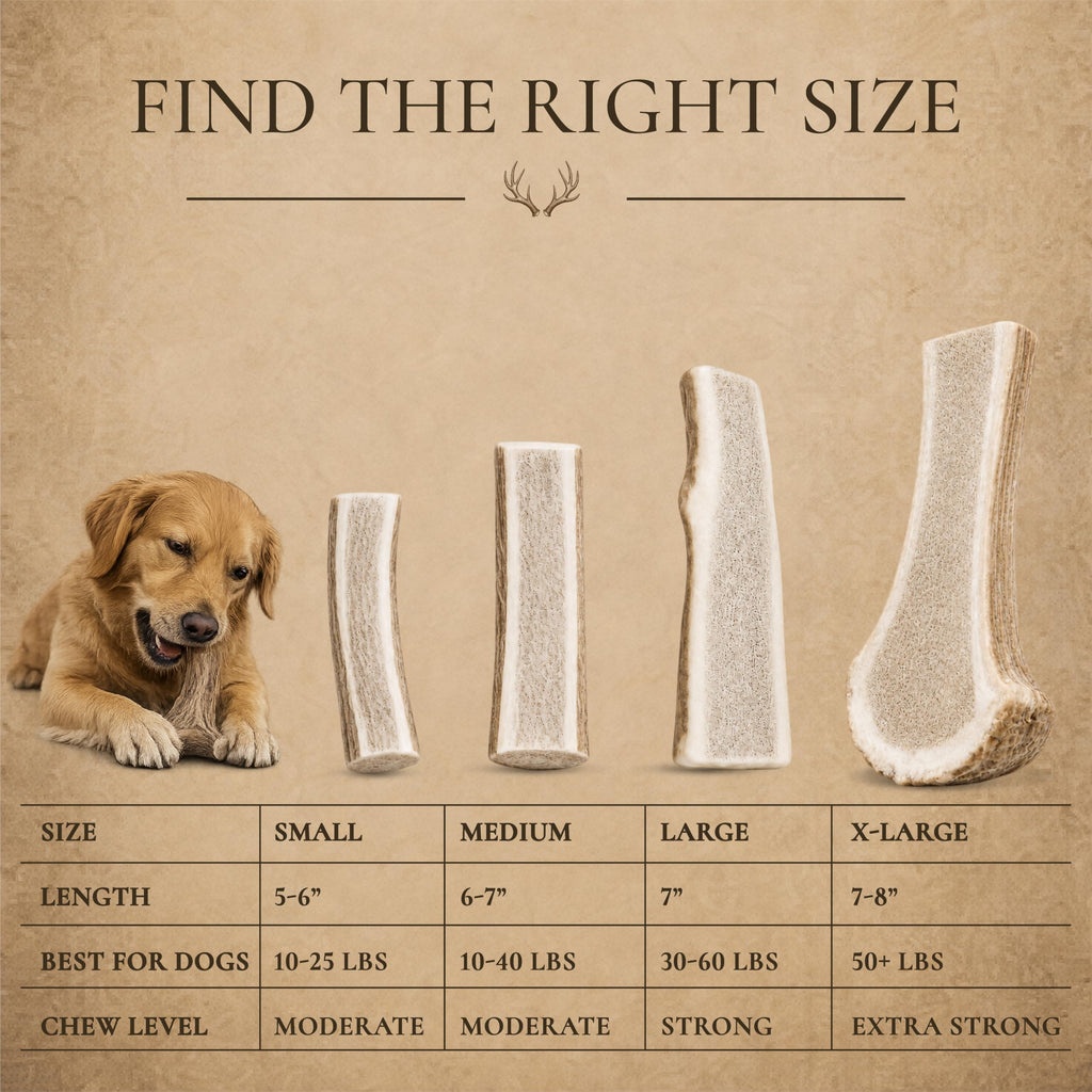 Split Elk Antler for Large Dogs, 2 Pack G535454