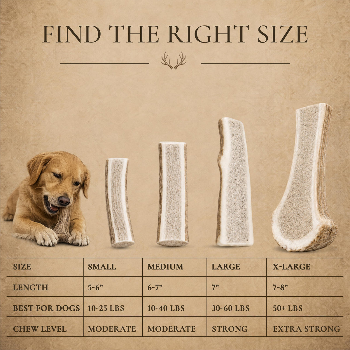 Split Elk Antler for Large Dogs, 2 Pack G535454