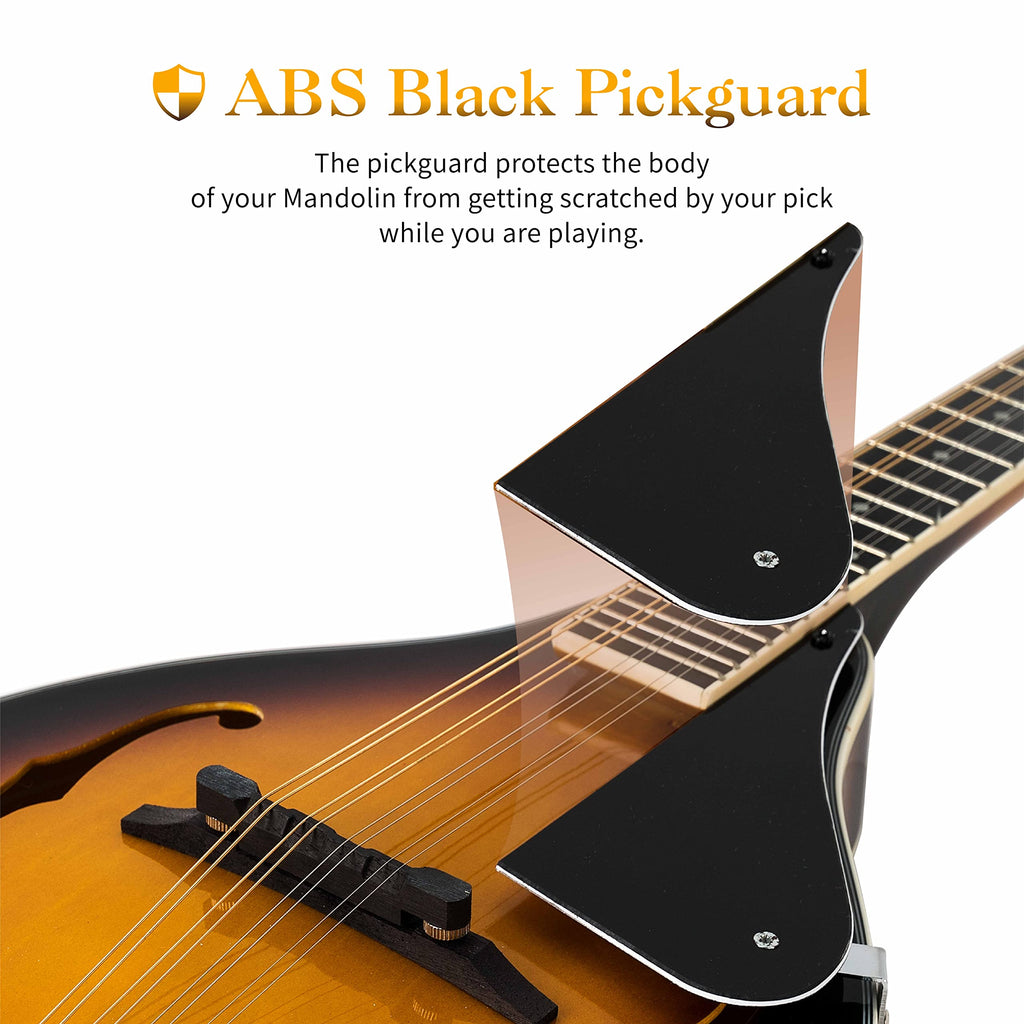 8 String Mahogany Wood Acoustic Mandolin Kit with Gig Bag M28989