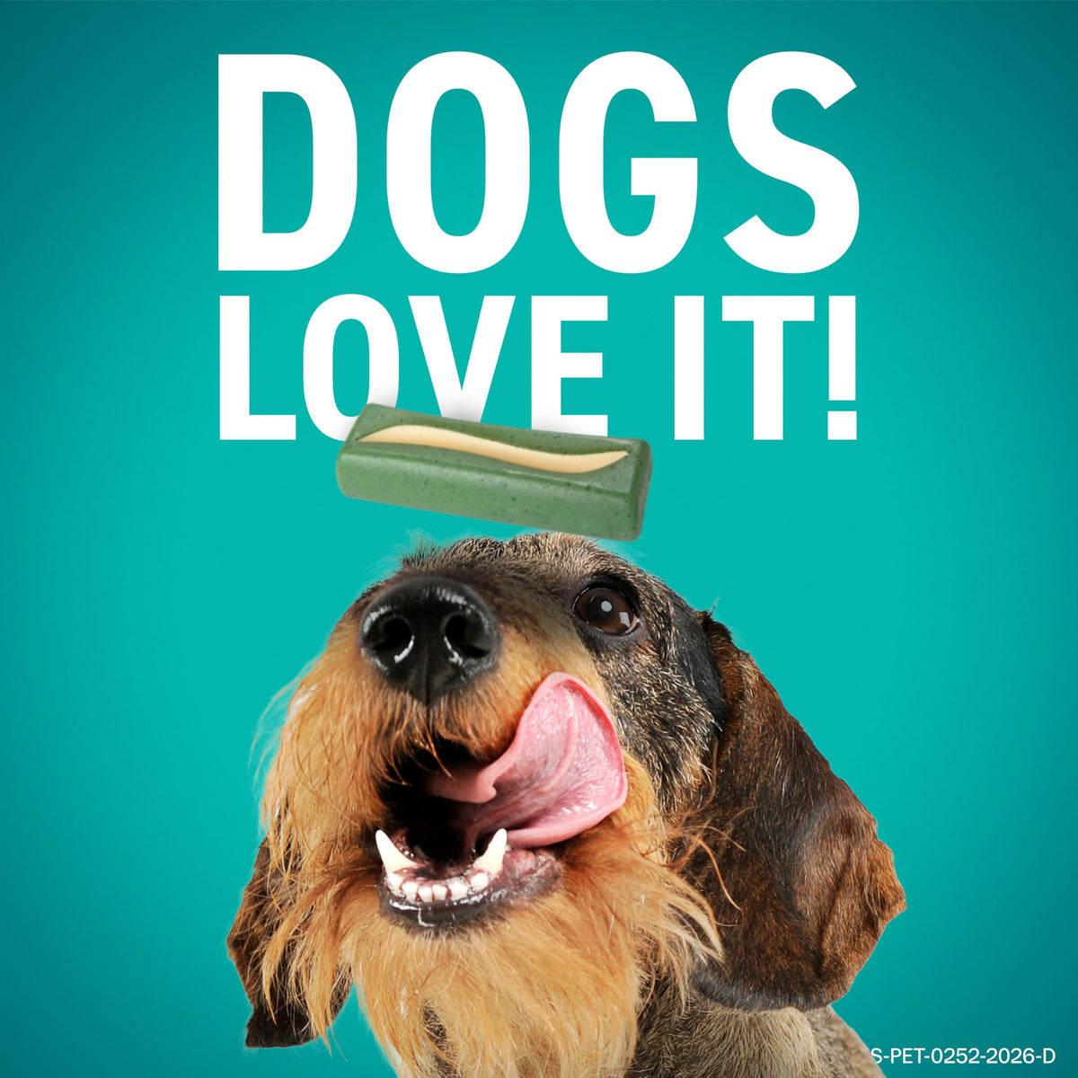 Dental Chews for Dogs 30 Count Y54595