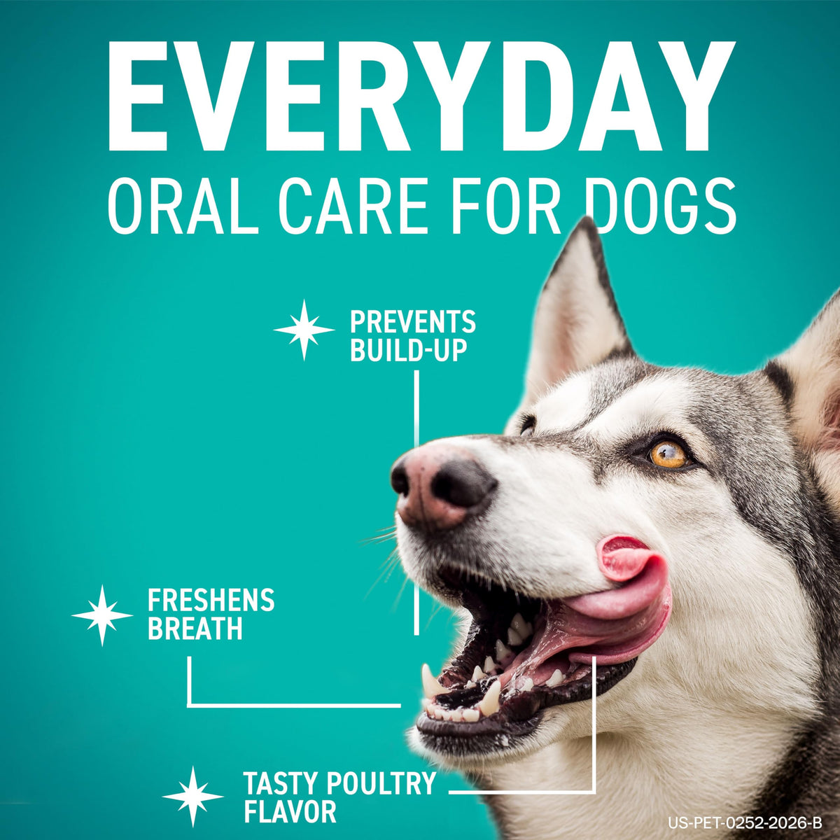Dental Chews for Dogs 30 Count Y54595