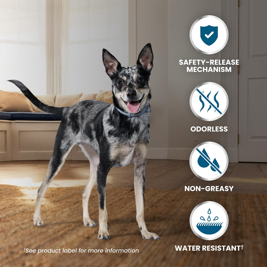 Flea & Tick Treatment & Prevention Collar for Dogs Under 18 lbs Y9090