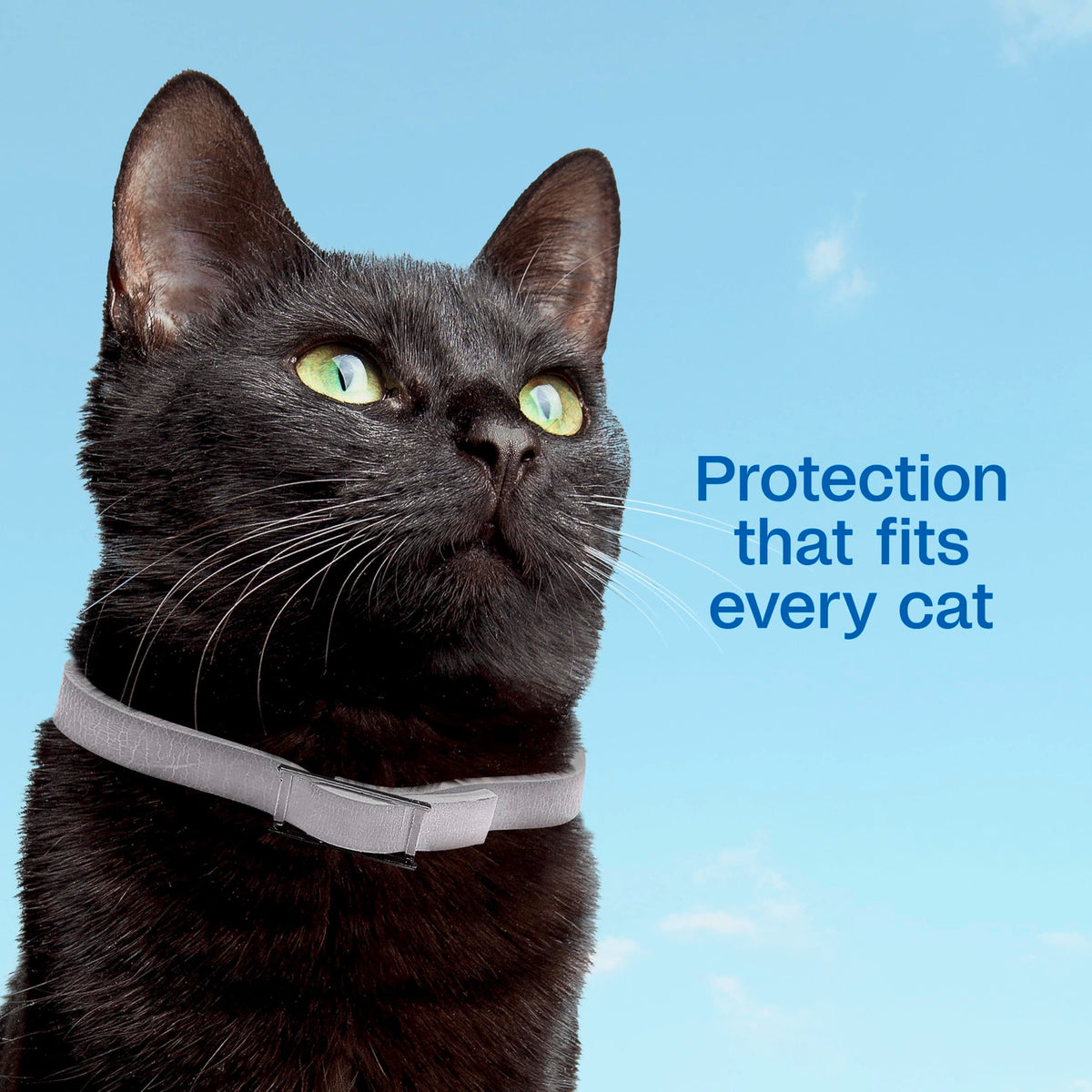 Adjustable Flea & Tick Collar for Cats B90288