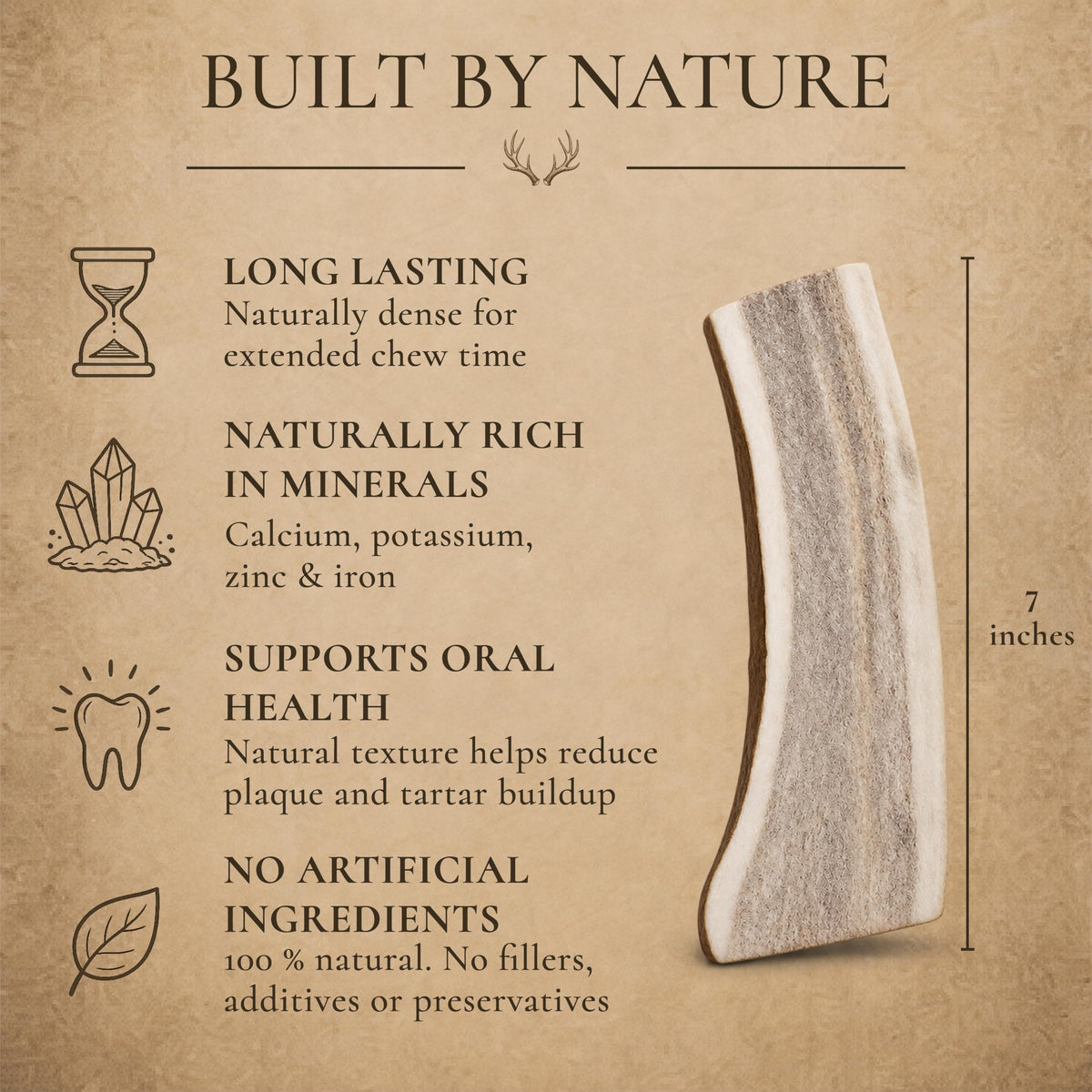 Split Elk Antler for Large Dogs, 2 Pack G535454