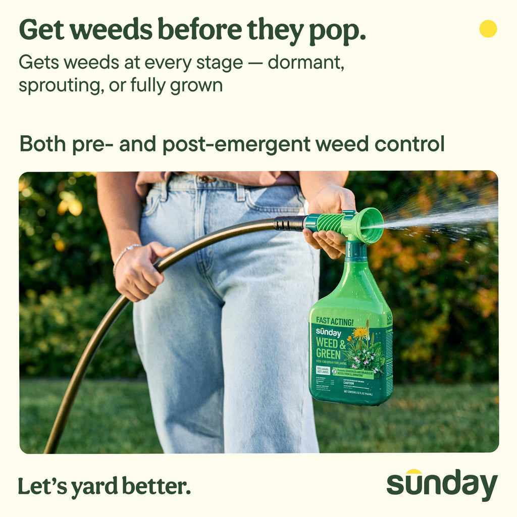 32oz 2-Pack Lawn Weed Killer & Greening Kit P3514