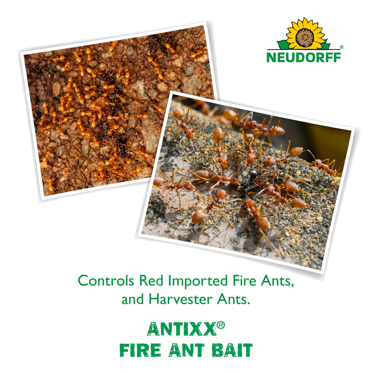 Fire Ant Bait 2 LBS K3673