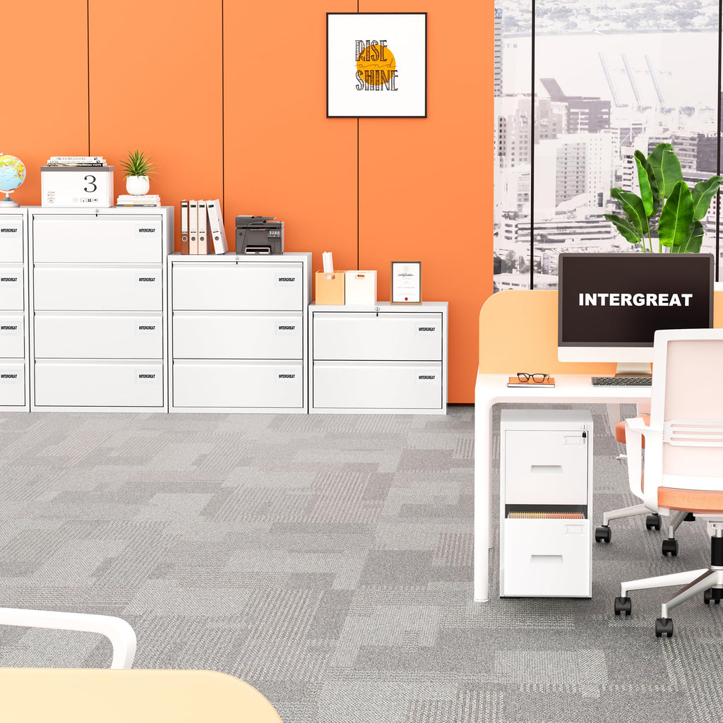 White 2 Drawer Lateral File Cabinet with Lock X26389