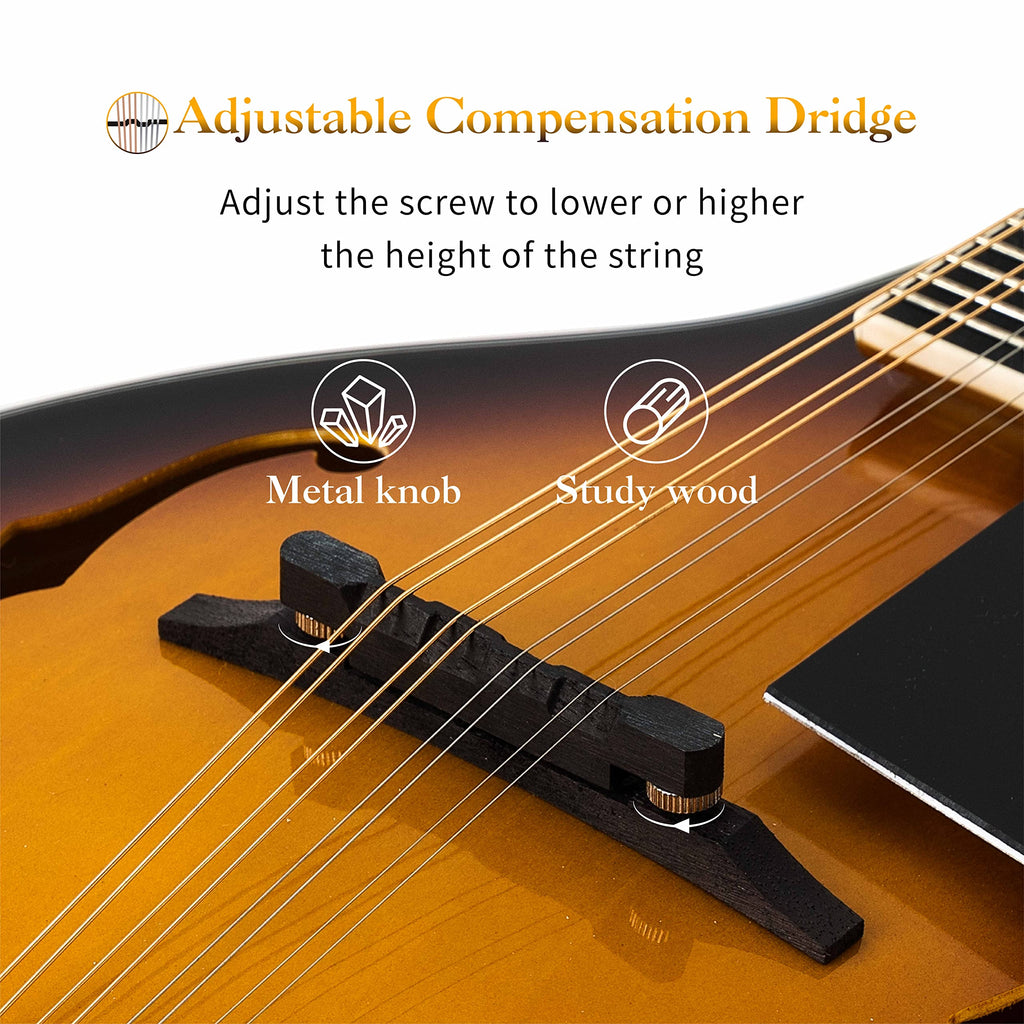 8 String Mahogany Wood Acoustic Mandolin Kit with Gig Bag M28989
