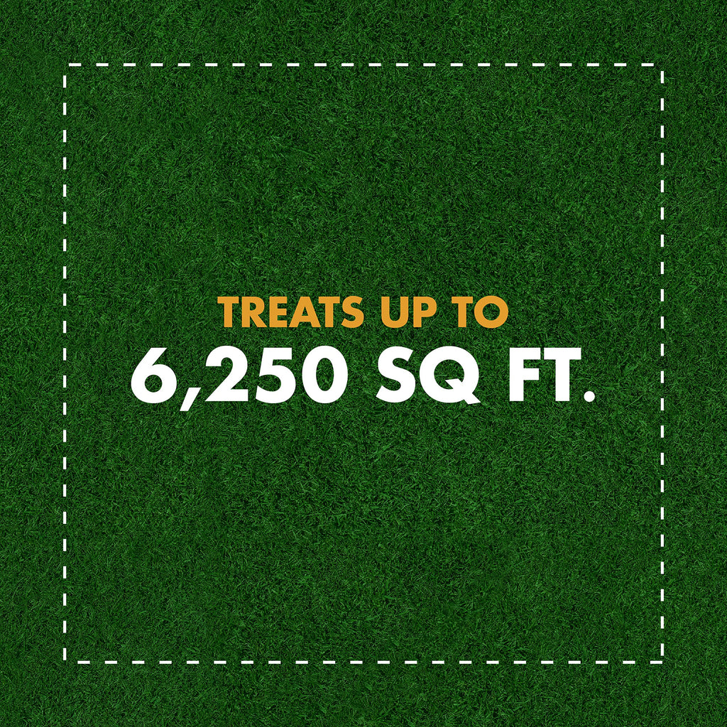Weed and Crabgrass Killer Concentrate 40 Oz E506216
