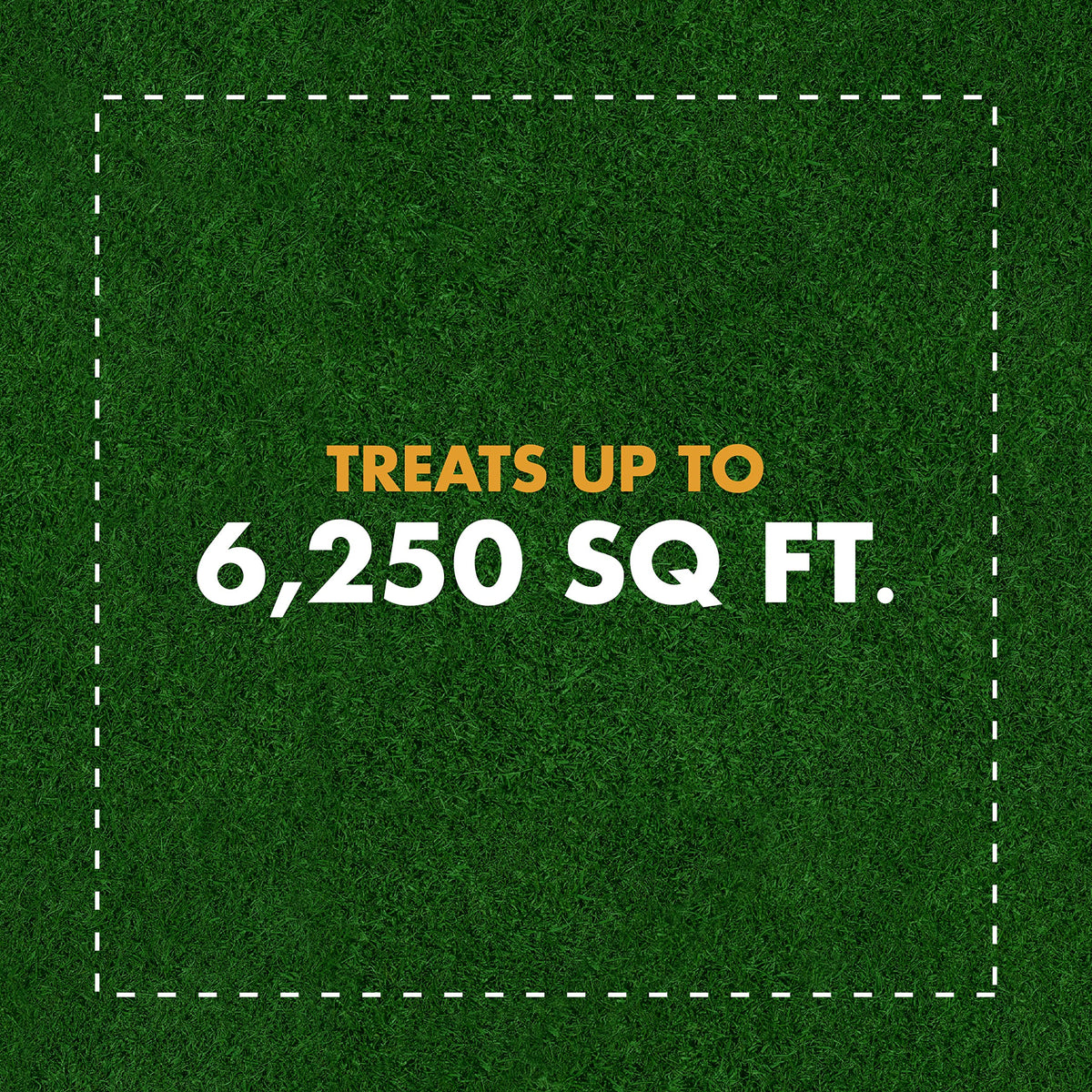 Weed and Crabgrass Killer Concentrate 40 Oz E506216